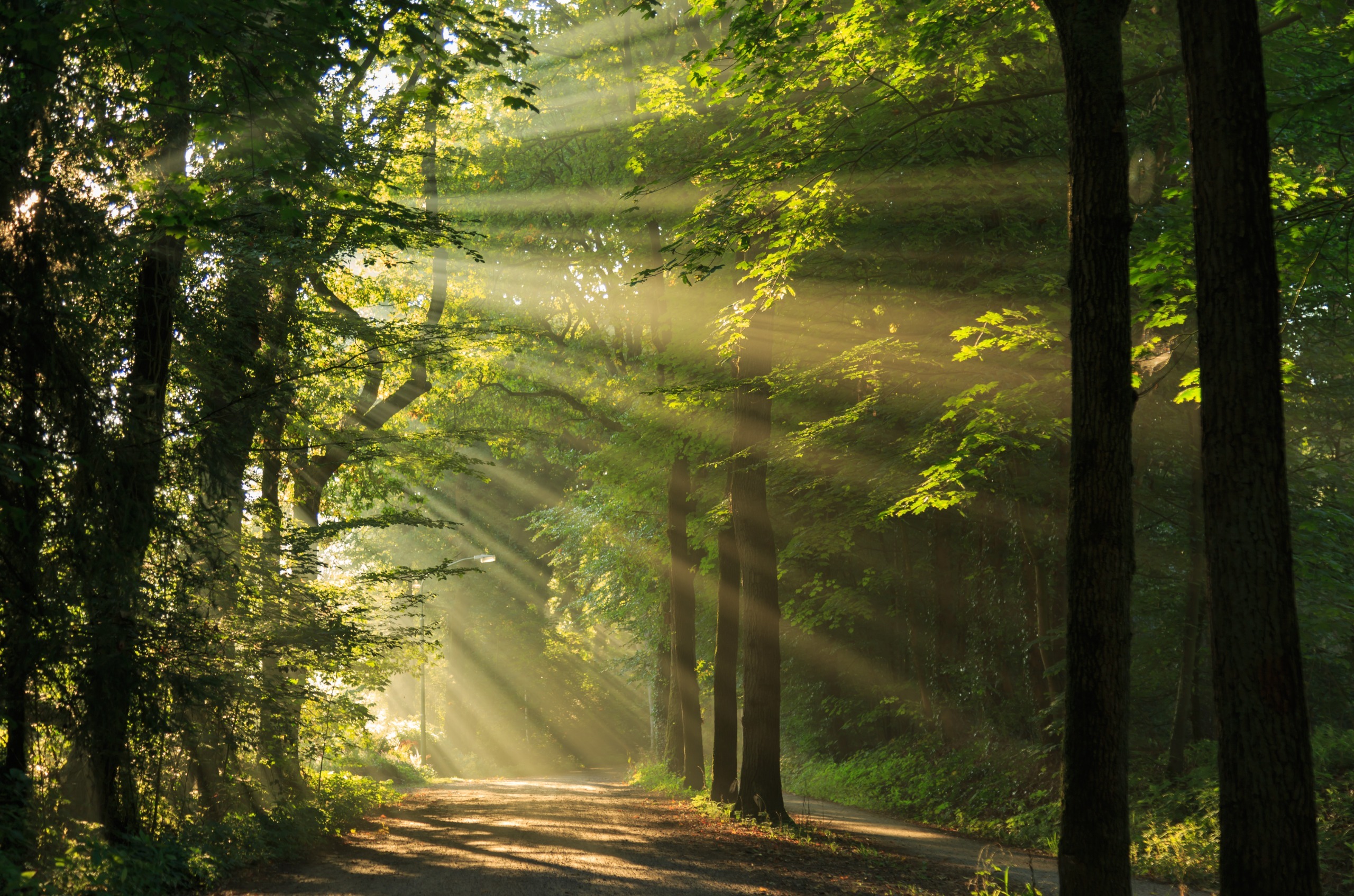 Person in einer ruhigen Naturlandschaft